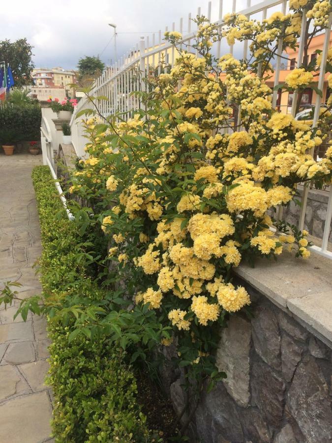 Relais Le Due Costiere Villa Маса Лубрензе Екстериор снимка